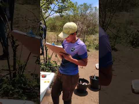 Atividades arqueológicas no sítio arqueológico Casa de Serapião em São Raimundo Nonato, PI - UNIVASF
