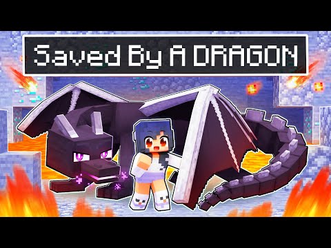 Aphmau Was SAVED By A DRAGON In Minecraft!