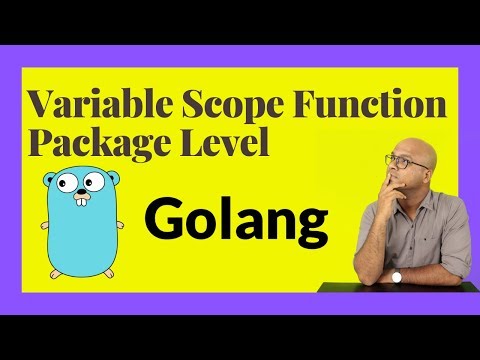 Variable Scope Function Package Level | Golang