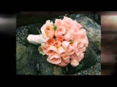 Caribbean Steelband Ad