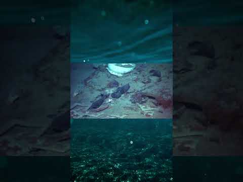 latest from oceangate titan | submarine