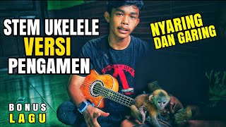 Download lagu WHY ARE STREET CHILDREN'S UKELELES MORE RINGING AND DRY - THIS IS HOW IT WORKS mp3 Download lagu WHY ARE STREET CHILDREN'S UKELELES MORE RINGING AND DRY - THIS IS HOW IT WORKS mp3