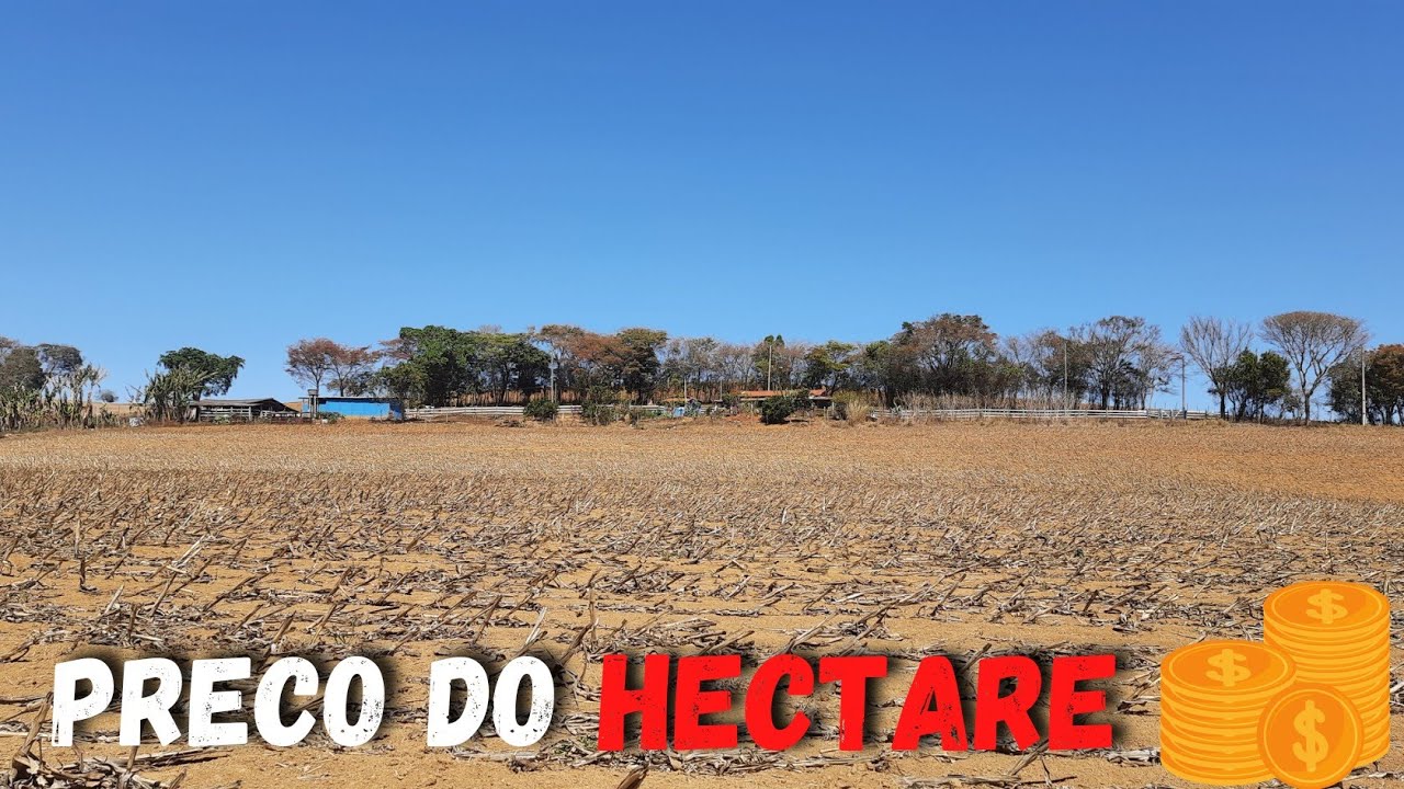 Preço de 1 hectare de terra na minha região MG