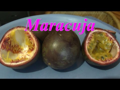 Maracuja Passionsfrucht Test essen Teil 2