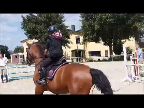 Malu (9) und Monte - Springstunde am 21.06.2018