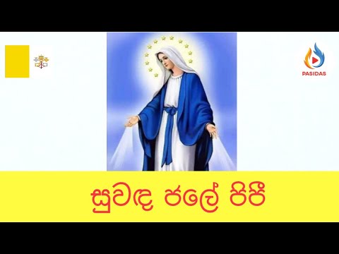 Suwanda jale pipi - CHILAW DIOCESE ✝️