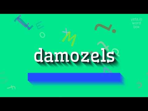 DAMOZELS - HOW TO PRONOUNCE DAMOZELS? #damozels