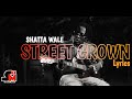 STREET CROWN SHATTA WALE Lyric Video