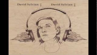 David Sylvian -- Before The Bullfight (SD) .avi