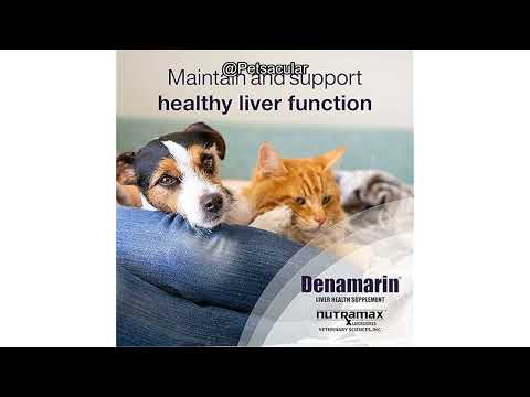 Nutramax Denamarin Liver Health Supplement Review: Is It Worth the Hype for Your Pet?