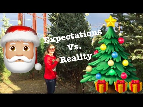 Expectations Vs. Reality: Christmas As An Adult | HBCorrespondence