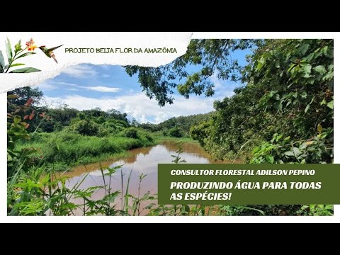 Planejando o Futuro? Não existe futuro sem água potável! Plante Água