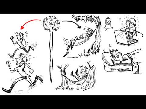 How Stress Affects Your Body and Mind