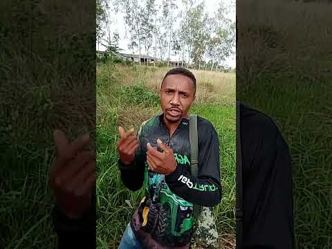 malária em Jacundá para#resenha #humor #comedy #memes #viral