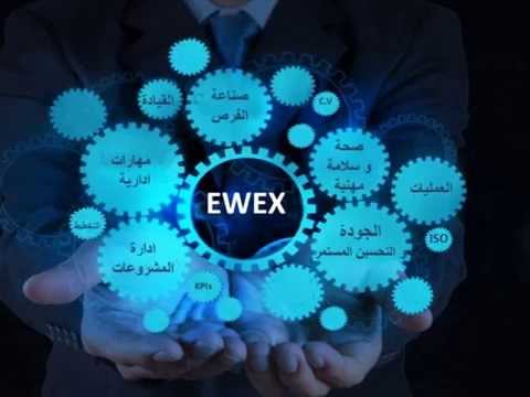 EWEX Training Programm