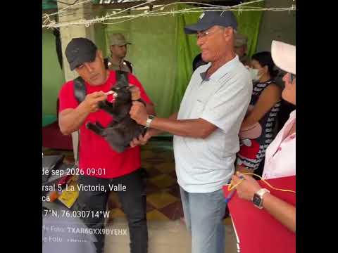 🐾 ¡Seguimos comprometidos con el bienestar animal! 🐶🐱