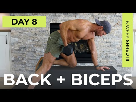 Day 8: 30 Min BACK & BICEPS Dumbbell Workout [Pull Workout] // 6WS3
