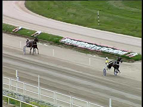 Trotto 01/06/2019 - prova di qualifica