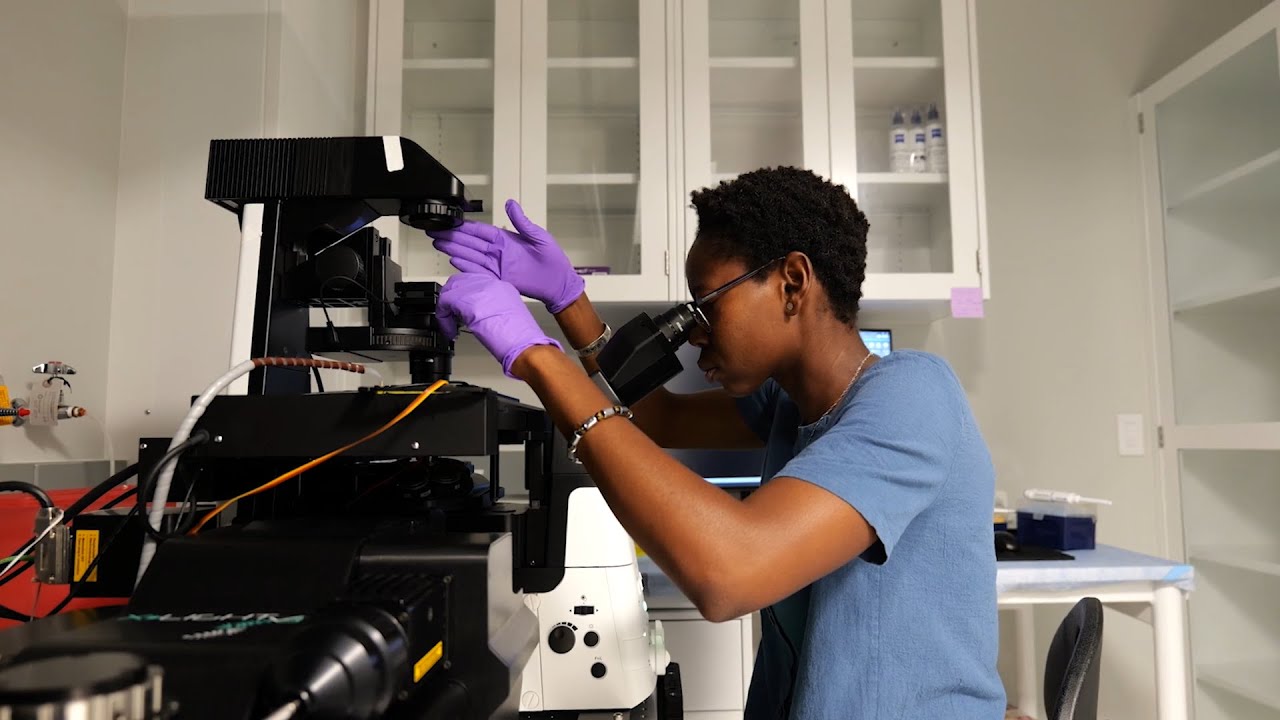 How Packard Fellowships Drive Innovation in Science and Engineering