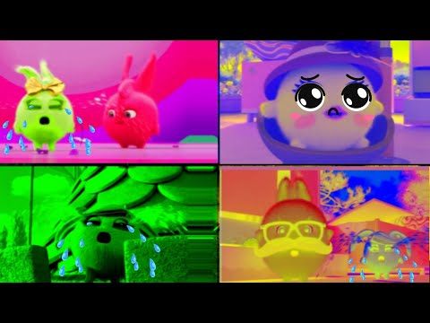 SUNNY BUNNIES INTRO PRESENTS CRYING COMPILATION IN RED, BLUE, GREEN, YELLOW | SPECIAL EFFECTS 2021