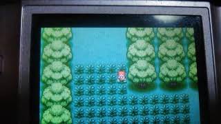 ついに、ピカチュウゲット！？ハラハラドキドキトキワの森探検　ポケモンファイアレッドPAT4