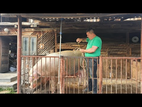 Cum să pierzi grăsimea umărului - Pierde 15 kg grăsime