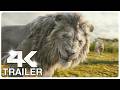 MUFASA THE LION KING 4 Minute Trailers 4K ULTRA HD NEW 2024