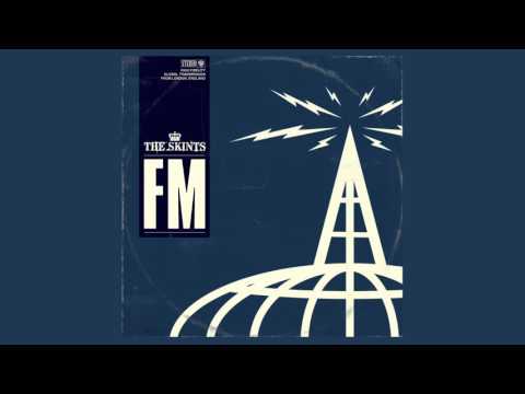 This Town (feat. Tippa Irie & Horseman) - The Skints - HQ Sound