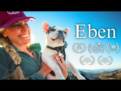 Pet grief expert discussing pet loss support resources and finding comfort after euthanasia.