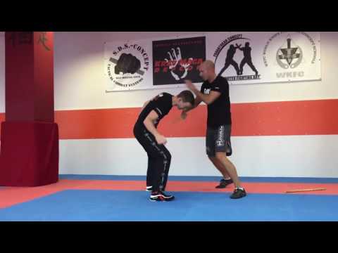 SAMICS Stickfighting Concept