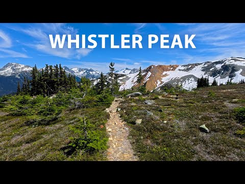 Relaxing Summer Hike in Whistler Mountain's Alpine Trails, Whistler BC Canada