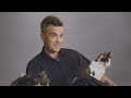 Felix And Robbie The Purrfect Duet Interview With Robbie Williams For ItsGreatToBeACat