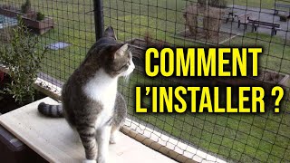Installer un Filet de Protection pour Chat : Le Guide
