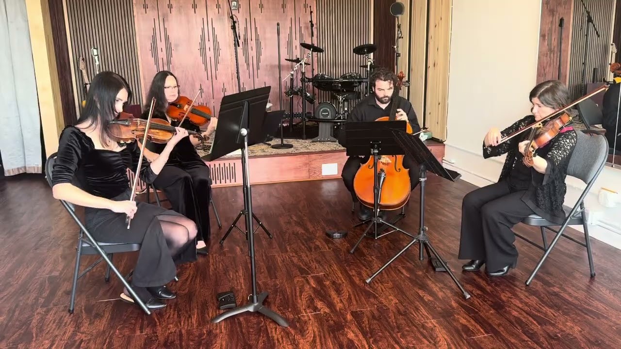 Promotional video thumbnail 5 for Viva La Vida String Quartet LLC