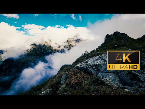 4k Virtual Hike Along Rivers and Forests in the Mountains of Switzerland