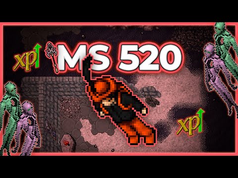 MS 520 Hunt Solo Netherworld 9kk/h (225%) - Tibia Hunt #tibia #tibiahunt #hunts