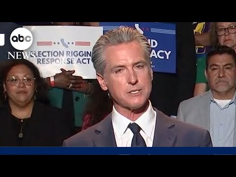 Gov. Newsom says ICE agents were outside of his press conference: 'Do you think it's coincidental?'