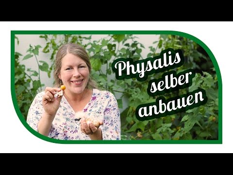 Symptome der Prostata als heilen Lebensmittel für Prostatitis