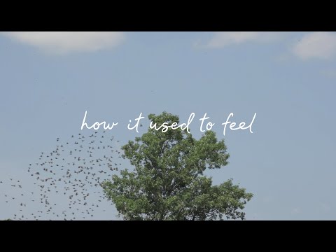 Video thumbnail for Just Like Me
