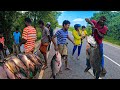 Special Rain Day Beautiful Village Fish Market Excellent Show Skills In Sri Lanka