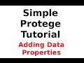 A Simple Protege Tutorial 4: Adding Data ...