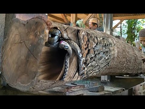 unexpected discovery of beauty in wood worth hundreds of dollars at the lumberyard