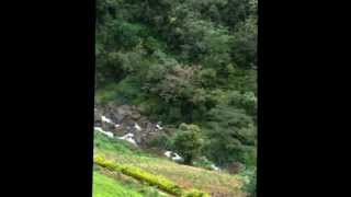 preview picture of video 'Ramboda Falls, Best view from Rambodafalls Hotel.wmv'