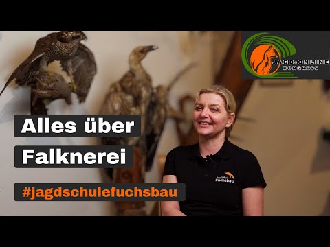 FALCONRY Birds of Prey: Keeping/Training/Falconry | HUNTING Online CONGRESS | Hunting 2024