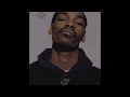 Wesley Willis - "Snoop Doggy Dogg"