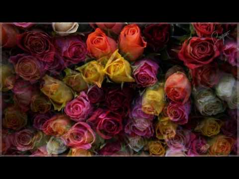 Richard Clayderman ♫♬Hungarian Sonata♫♬☆Instrumental☆