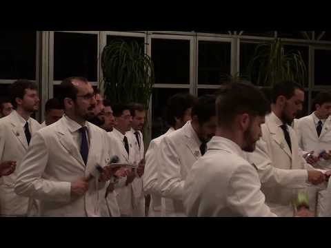 CHAMO A FORÇA - FLOR DE JAGUBE - MESTRE 80