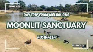 Day trip to Moonlit Sanctuary Australia gameplay video by HayleyMNepean, 5:33 duration