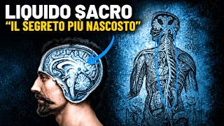 Ti hanno nascosto ciò che la tua ghiandola pineale rilascia ogni mese