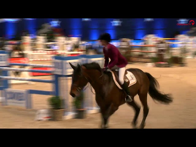 Sire: Chacco Blue II